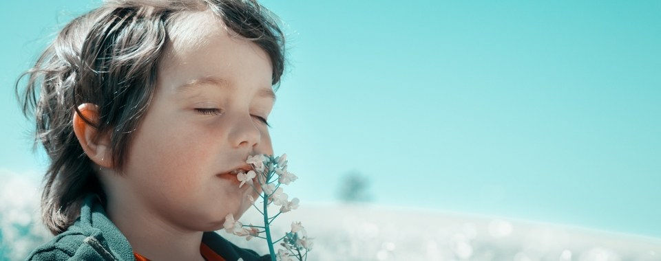 Profumi, odori e ricordi dell'infanzia