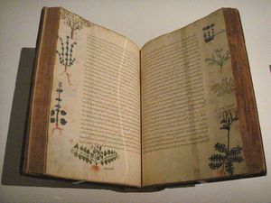 Dioscoride - De Materia Medica (ed. Bizantina del 15° sec.)