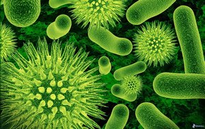 ruolo_biologico_05